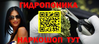 Альфа ПВП Лесосибирск