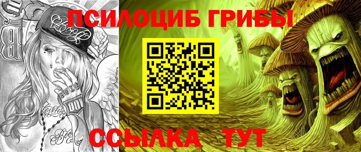 Галлюциногенные грибы Psilocybe  Вход с VPN  Сорочинск  Псилоцибиновые грибы Magic Shrooms 