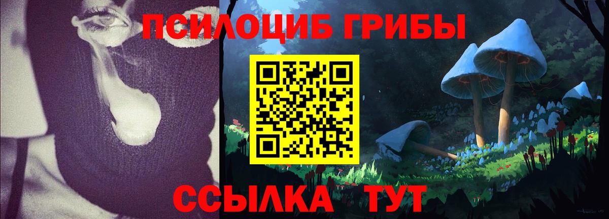 Псилоцибиновые грибы Psilocybine cubensis Сорочинск